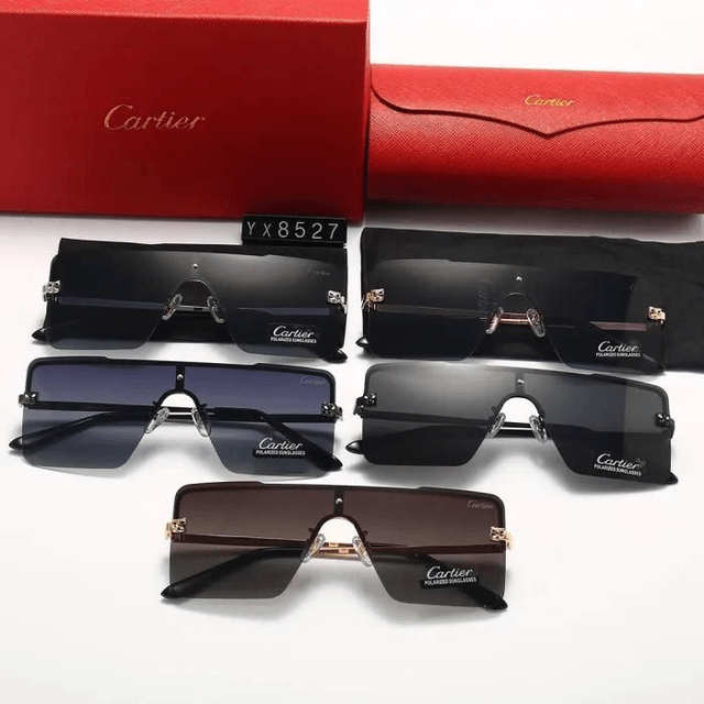 Lunette CRT masque pour homme détail léopard 