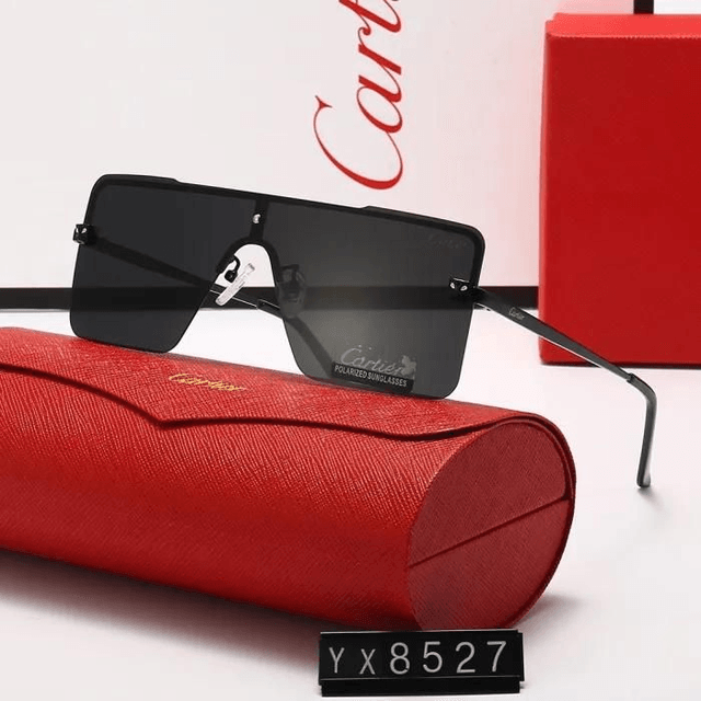 Lunette CRT masque pour homme détail léopard 