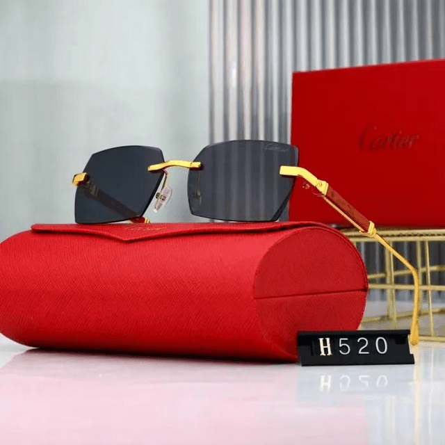 Lunette CRT luxe et fashion mixte