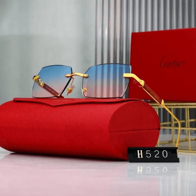 Lunette CRT luxe et fashion mixte