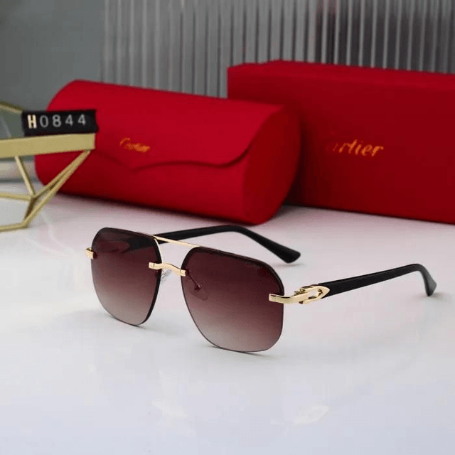 Lunette CRT tendance pour homme