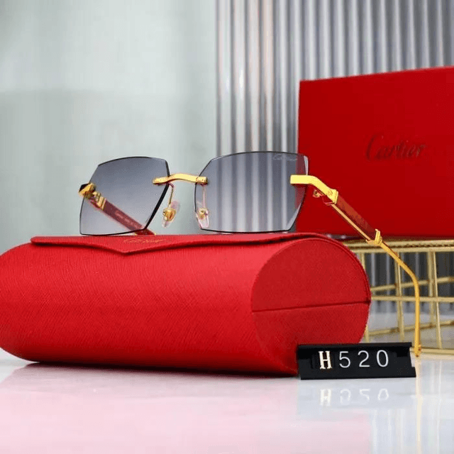 Lunette CRT luxe et fashion mixte