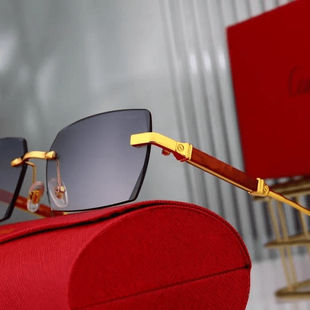 Lunette CRT luxe et fashion mixte