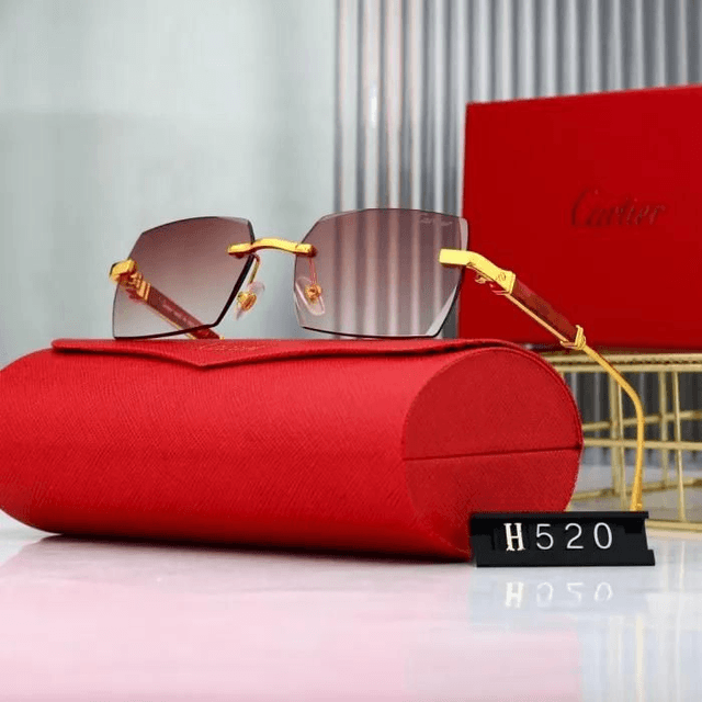 Lunette CRT luxe et fashion mixte