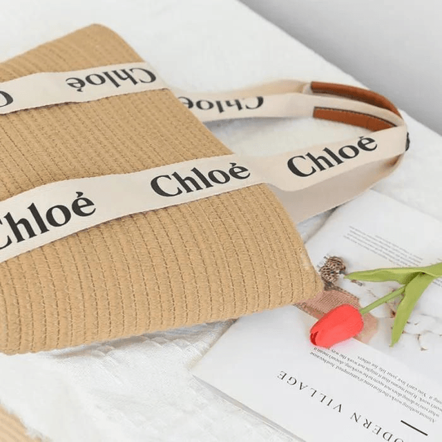 Sac CL panier pour femme tendance